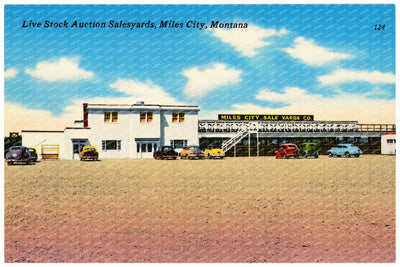 Miles City, MT: Live stock auction saleyards