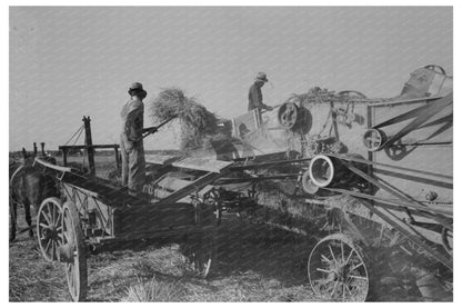 Feeding Rice to Thresher on Louisiana Farm 1938 - Available at KNOWOL