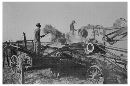 Feeding Rice to Thresher on Louisiana Farm September 1938 - Available at KNOWOL