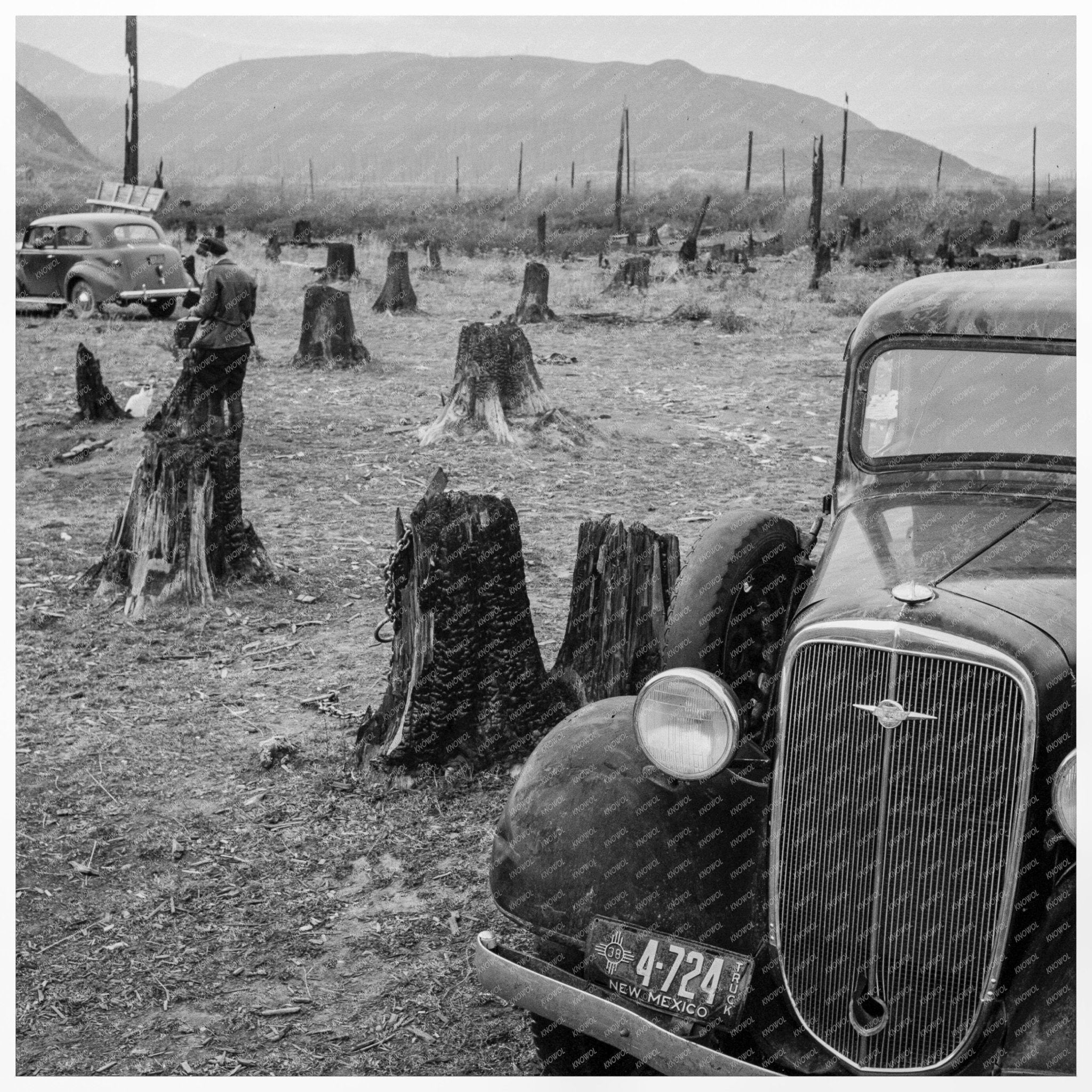 Fenced Pasture in Priest River Valley Idaho 1939 - Available at KNOWOL