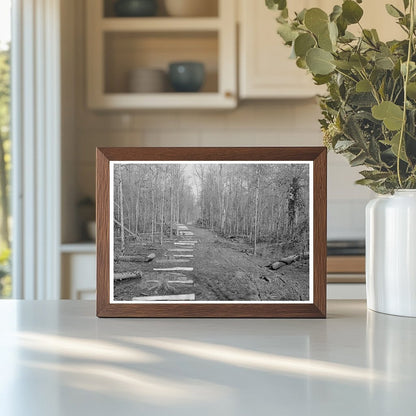 Fenceposts Along Dirt Lane in Arkansas January 1939 - Available at KNOWOL