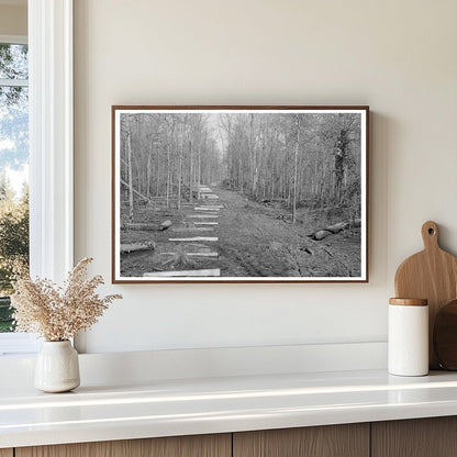 Fenceposts Along Dirt Lane in Arkansas January 1939 - Available at KNOWOL