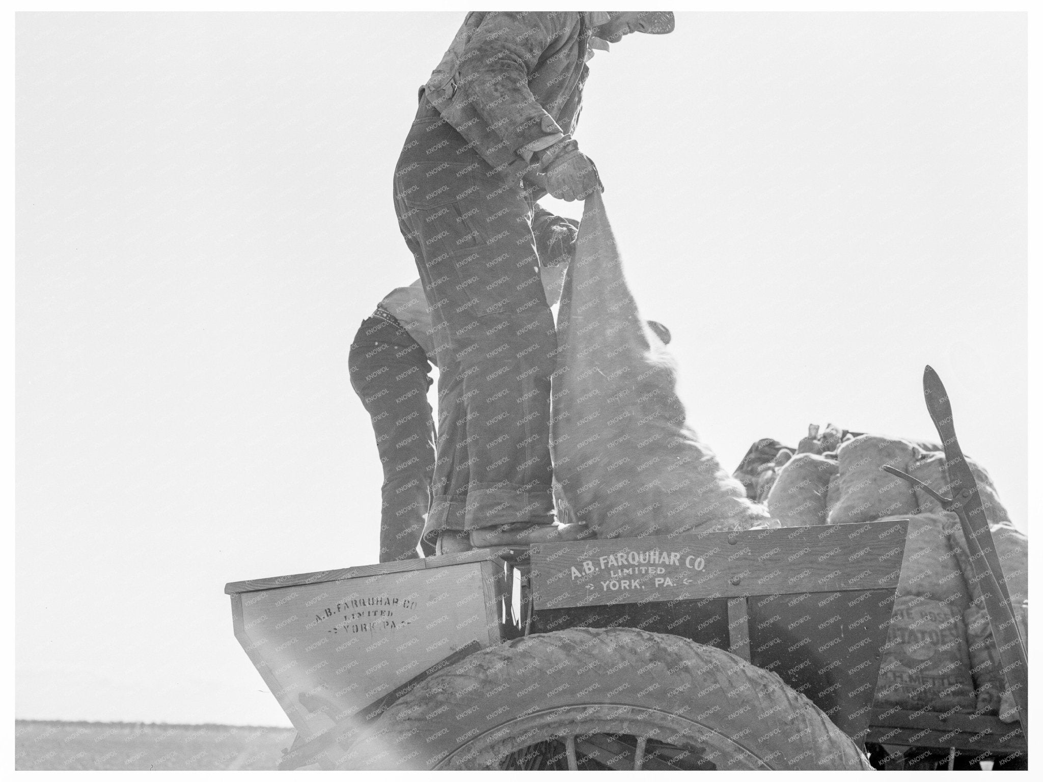 Fertilizer and Seed Loading in Kern County 1939 - Available at KNOWOL