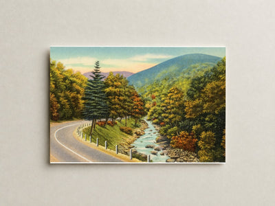 Road paralleling stream — Vintage Maryland Postcard