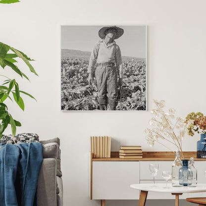 Filipino Boy Cutting Cauliflower March 1937 - Available at KNOWOL