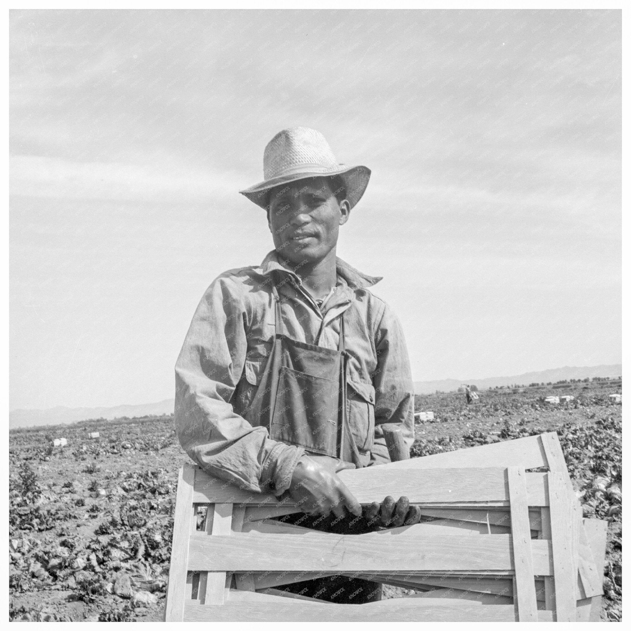 Filipino Laborer in Imperial Valley Lettuce Field 1939 - Available at KNOWOL