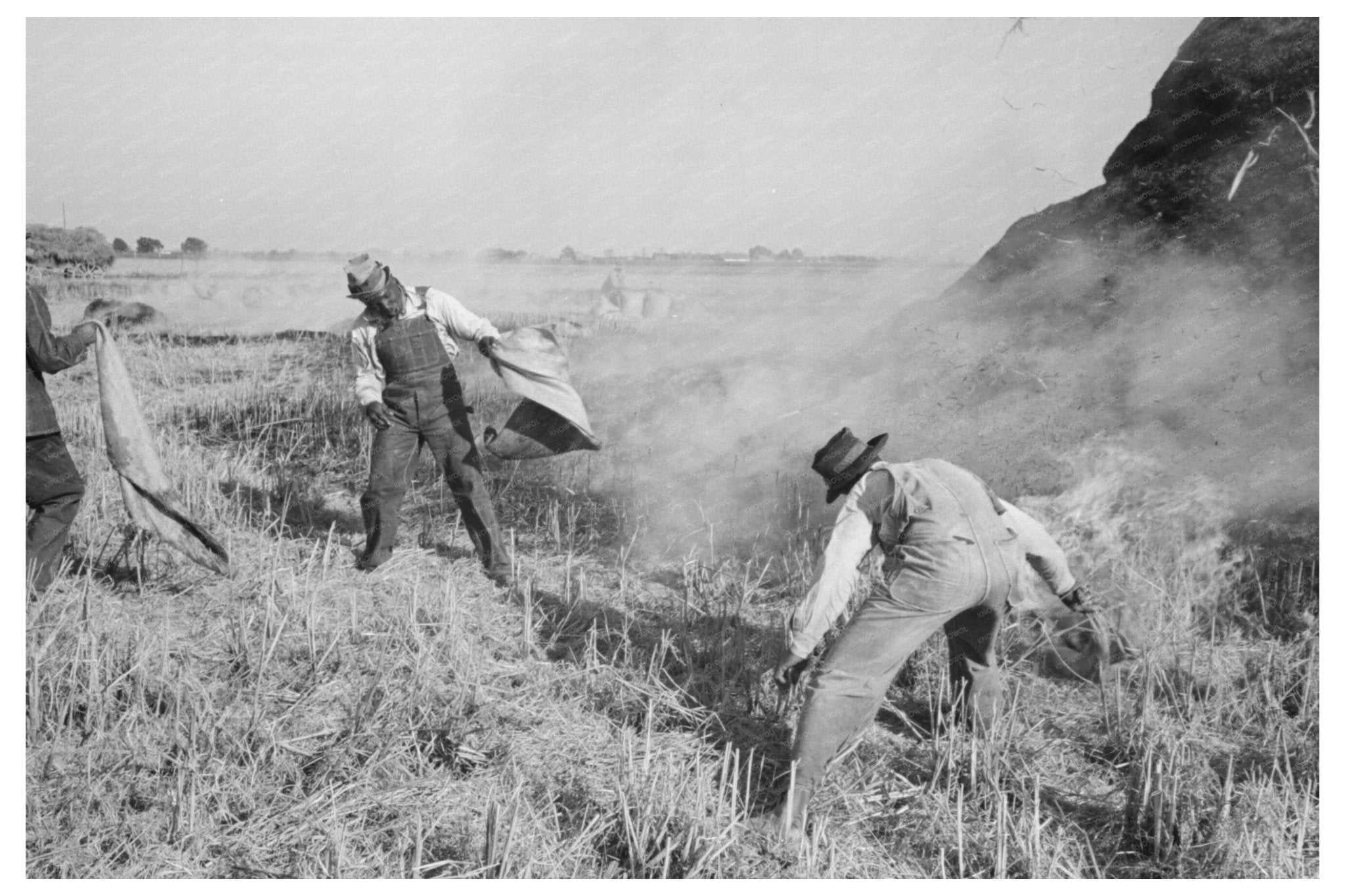 Firefighters Battle Rice Field Blaze September 1938 - Available at KNOWOL