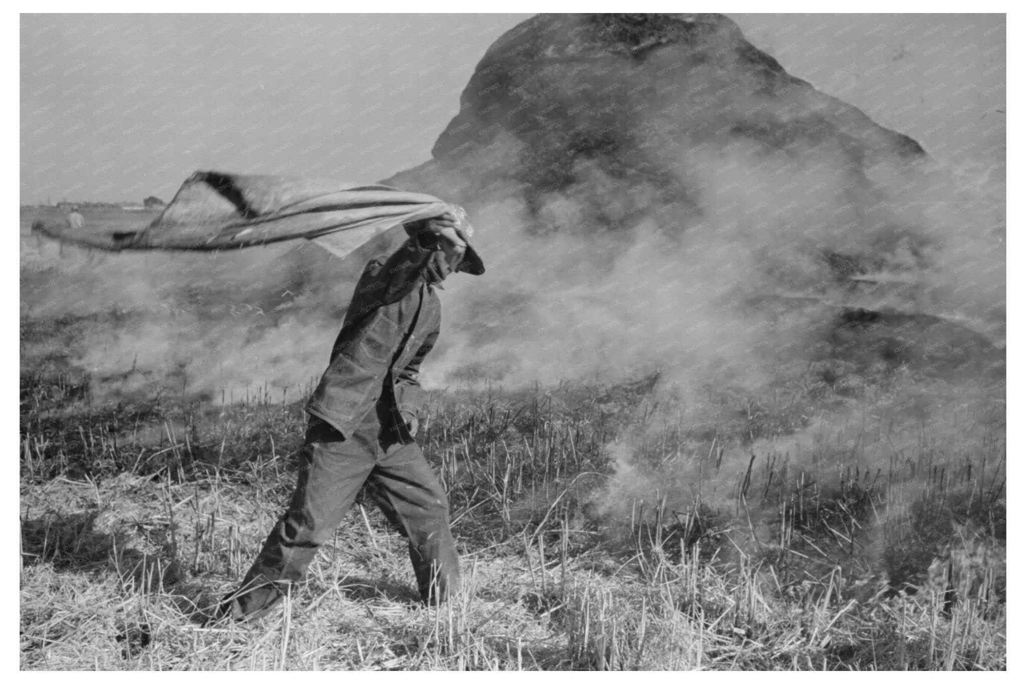 Firefighters Extinguishing Rice Straw Fire Louisiana 1938 - Available at KNOWOL