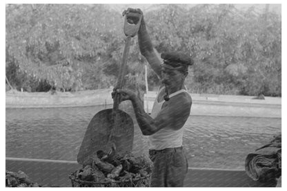 Fishermen Unloading Oysters in Olga Louisiana 1938 - Available at KNOWOL