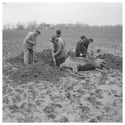 Flood Recovery in Posey County Indiana February 1937 - Available at KNOWOL