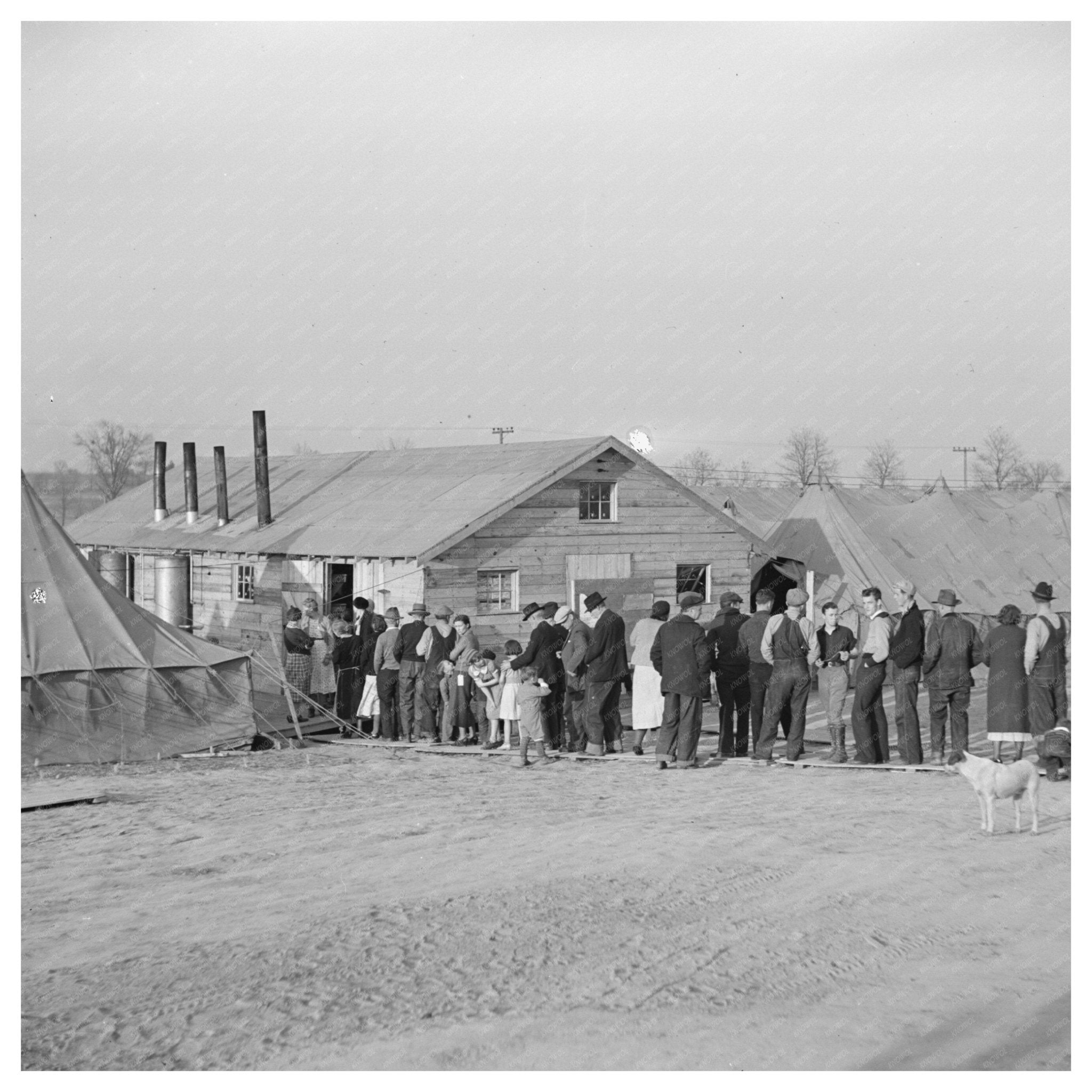 Food Line in Tent City Shawneetown Illinois 1937 - Available at KNOWOL