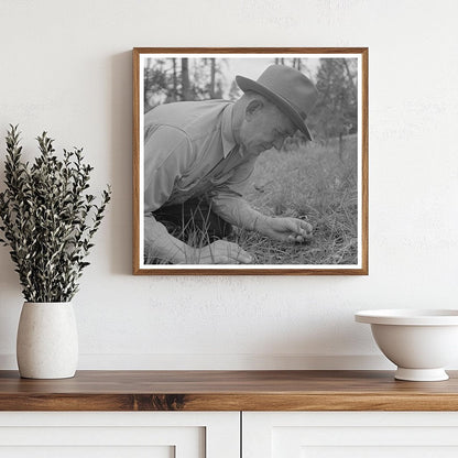 Forest Service Agent Examines Young Pine Tree 1942 - Available at KNOWOL