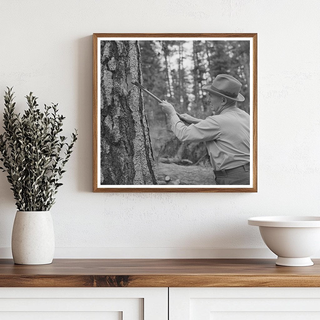 Forest Service Employee Marking Tree 1942 Oregon - Available at KNOWOL