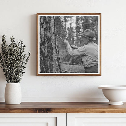 Forest Service Employee Marks Tree for Hines Lumber 1942 - Available at KNOWOL