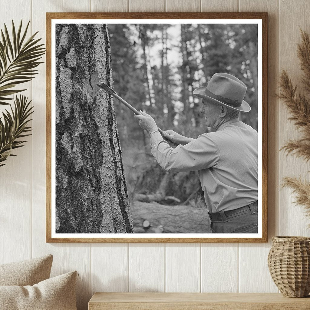 Forest Service Worker Marking Tree July 1942 - Available at KNOWOL