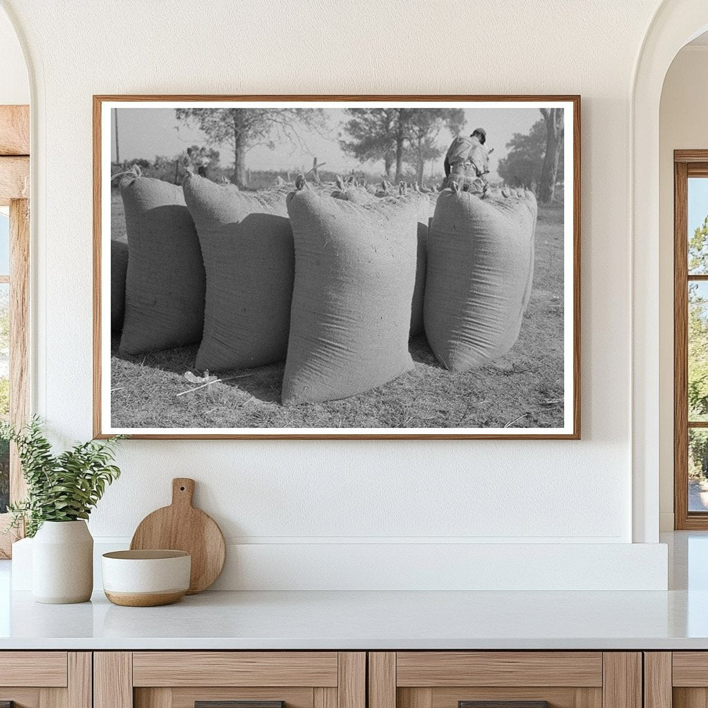 Freshly Threshed Rice Bags Crowley Louisiana 1938 - Available at KNOWOL