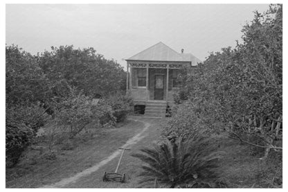 Front Yard of Orange Grower Boothville Louisiana 1938 - Available at KNOWOL