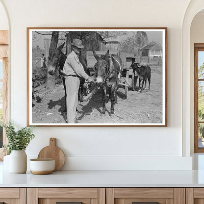 FSA Client with Mules in Rural Louisiana 1938 - Available at KNOWOL