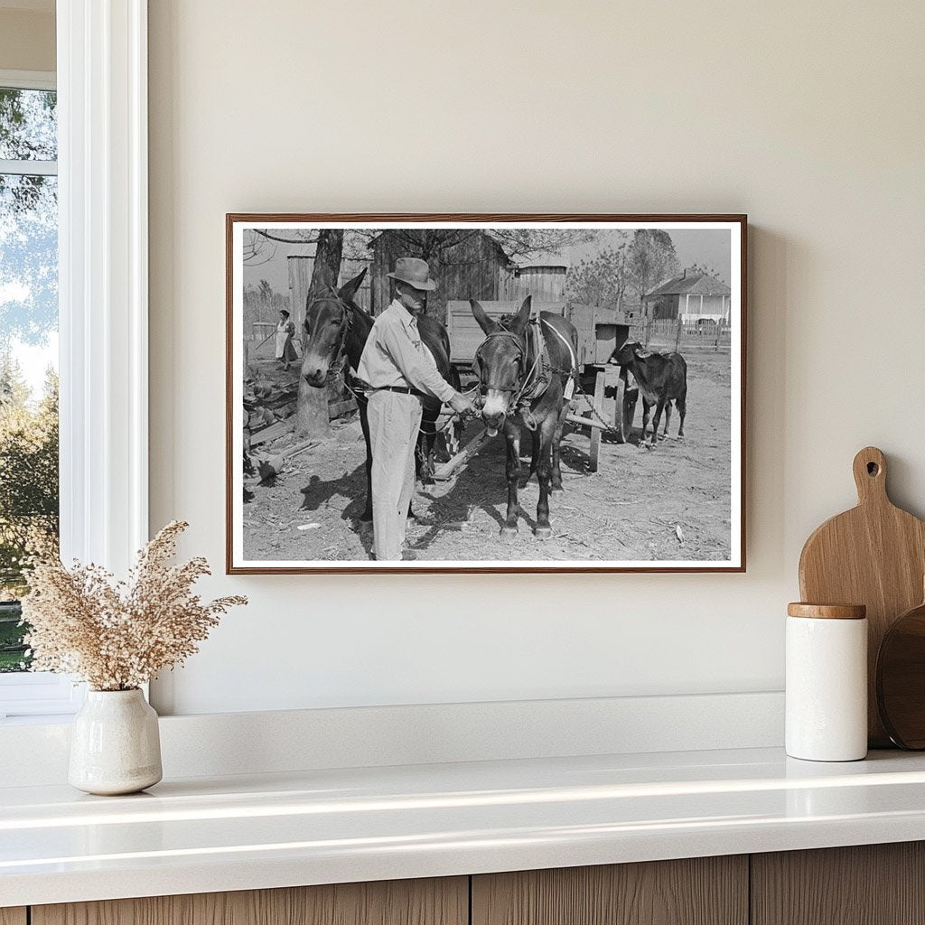 FSA Client with Mules in Rural Louisiana 1938 - Available at KNOWOL