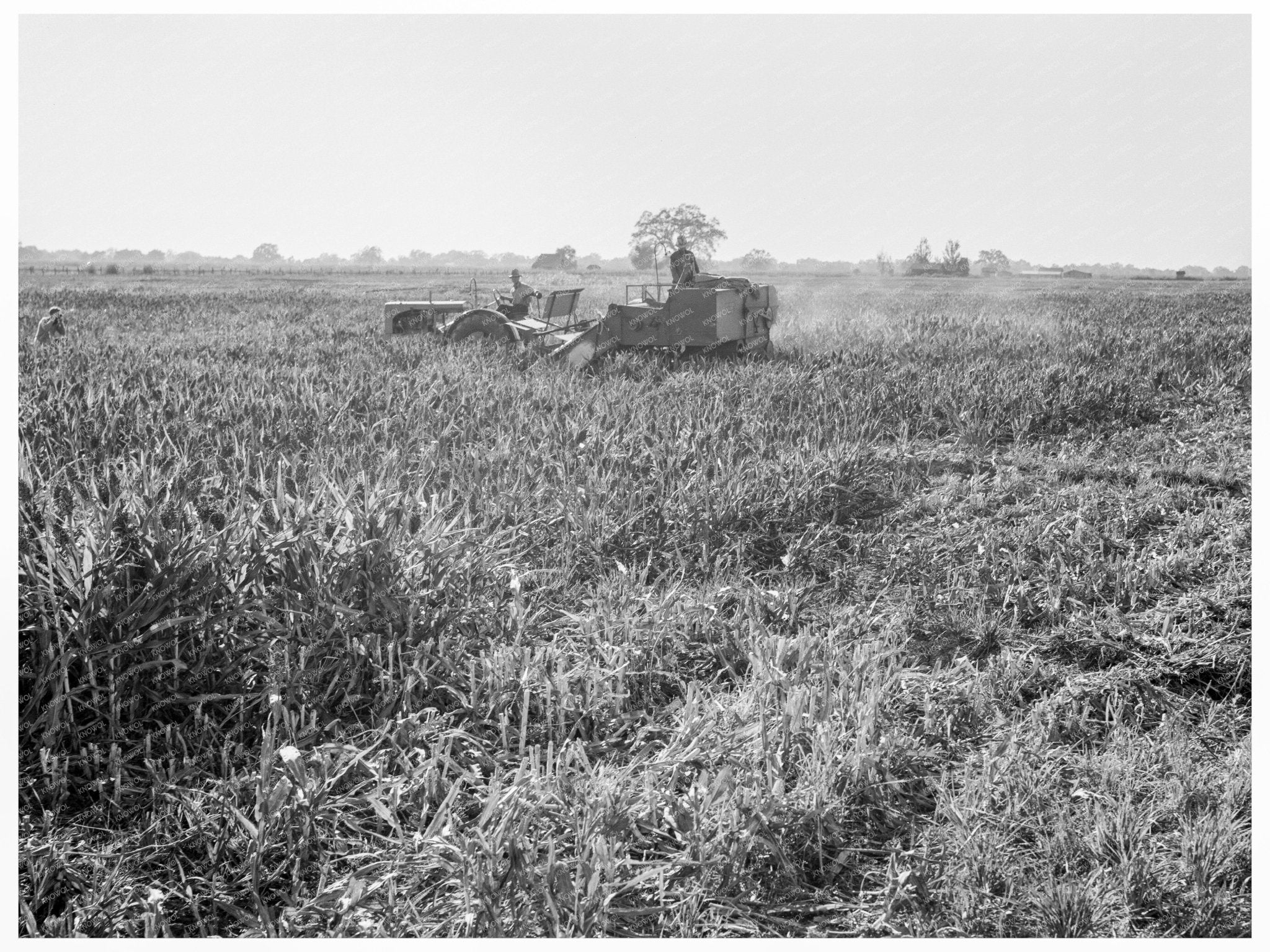 FSA Clients with All - Crop Harvester Tulare County 1938 - Available at KNOWOL