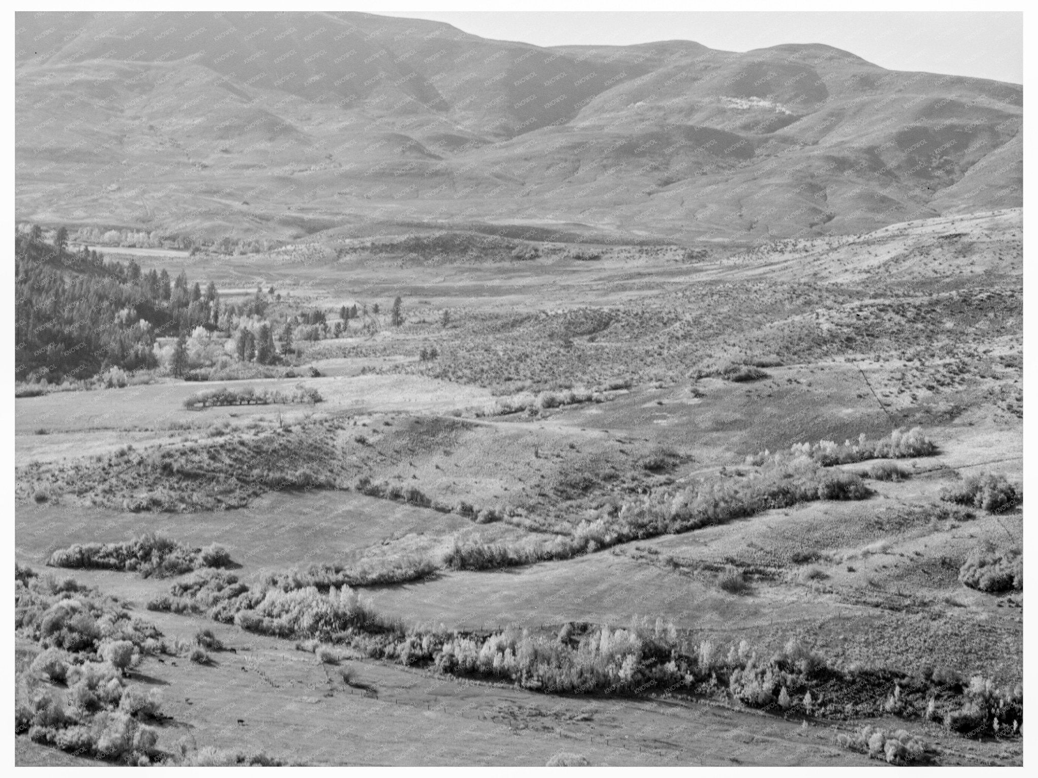 Gem County Idaho Dry Farming Practices October 1939 - Available at KNOWOL