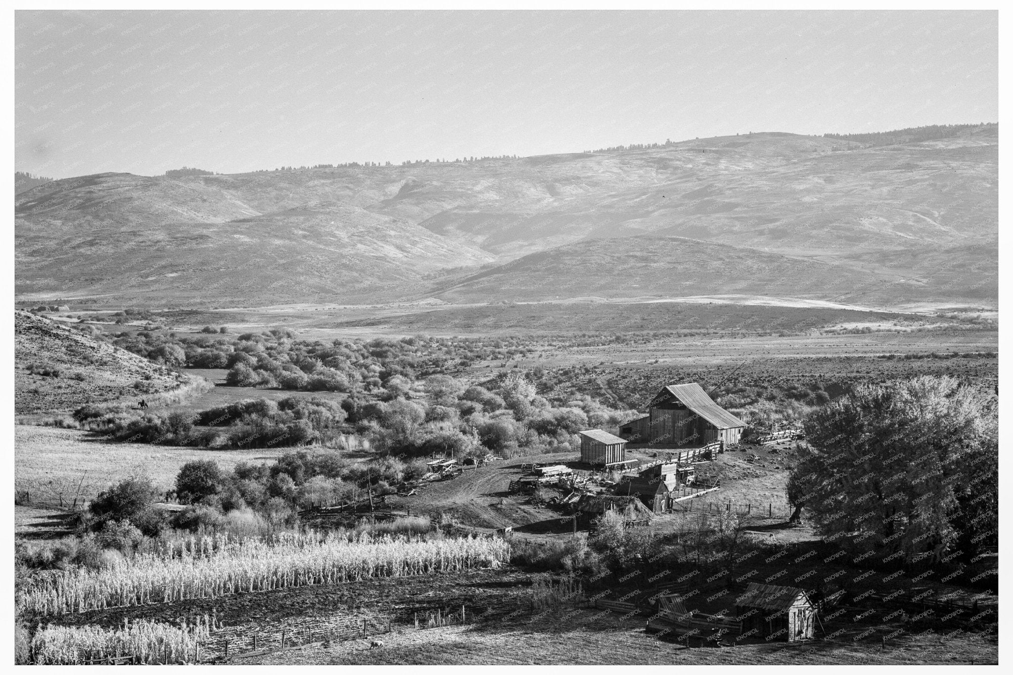 Gem County Idaho Farm Image October 1939 - Available at KNOWOL