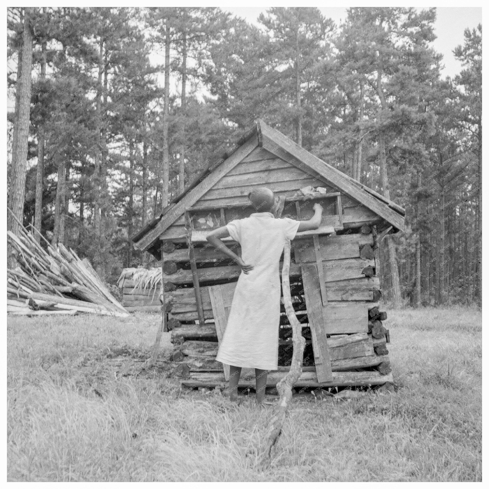 Girl Gathering Eggs in North Carolina July 1939 - Available at KNOWOL