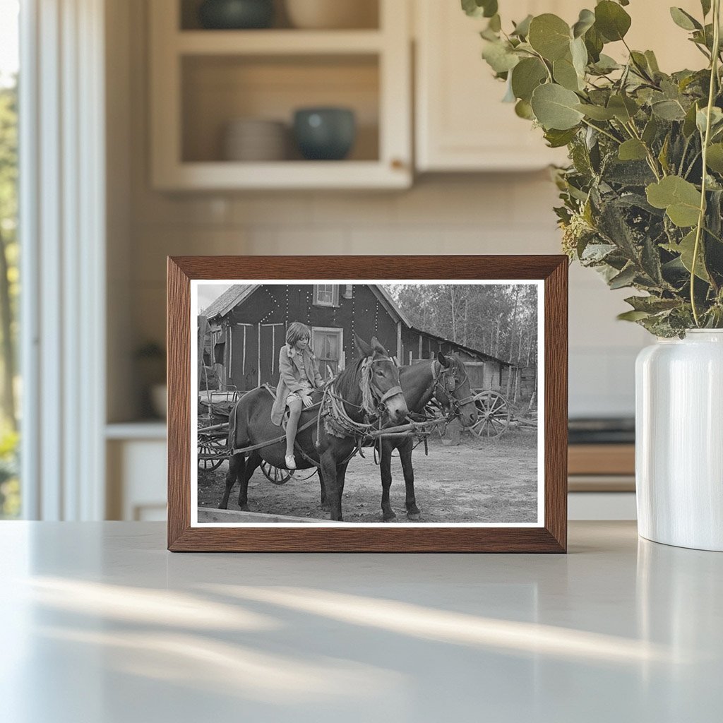 Girl on Mule at Minnesota Farm September 1937 - Available at KNOWOL