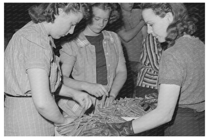 Girls Packing Peas in Canyon County Idaho June 1941 - Available at KNOWOL