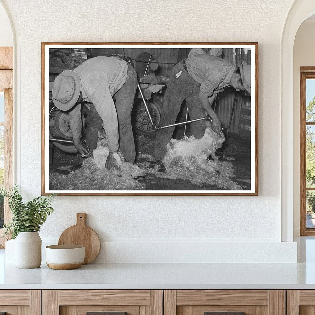 Goat Shearing on a Texas Ranch March 1940 - Available at KNOWOL