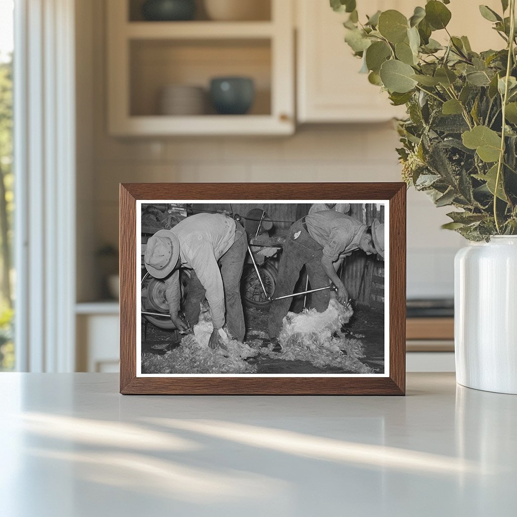 Goat Shearing on a Texas Ranch March 1940 - Available at KNOWOL