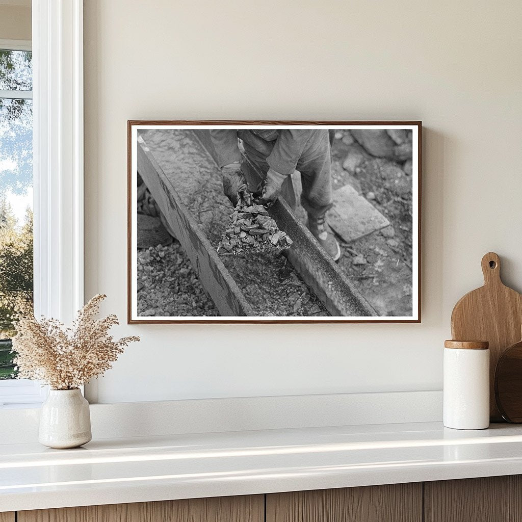 Gold Miner in Sluice Box at Two Bit Creek South Dakota 1938 - Available at KNOWOL