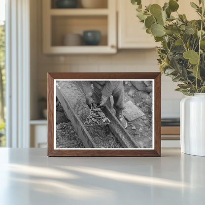 Gold Miner in Sluice Box at Two Bit Creek South Dakota 1938 - Available at KNOWOL