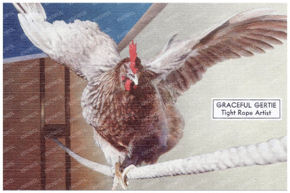 Graceful Gertie Tightrope Artist Vintage Postcard 1930 - 1945 - Available at KNOWOL