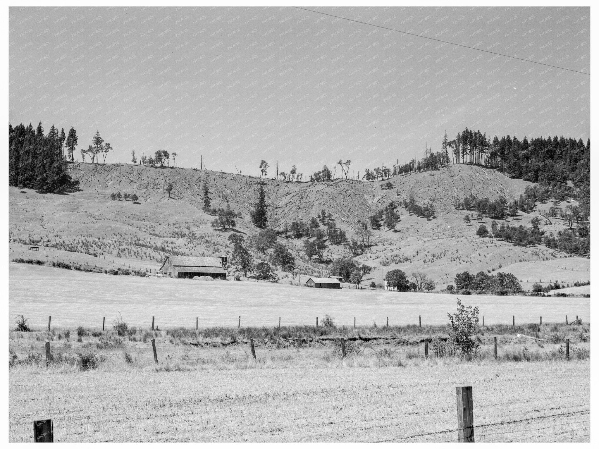 Grain Farm Landscape in Douglas County Oregon 1939 - Available at KNOWOL