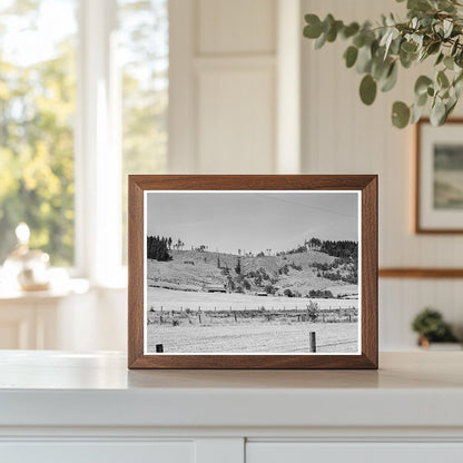 Grain Farm Landscape in Douglas County Oregon 1939 - Available at KNOWOL