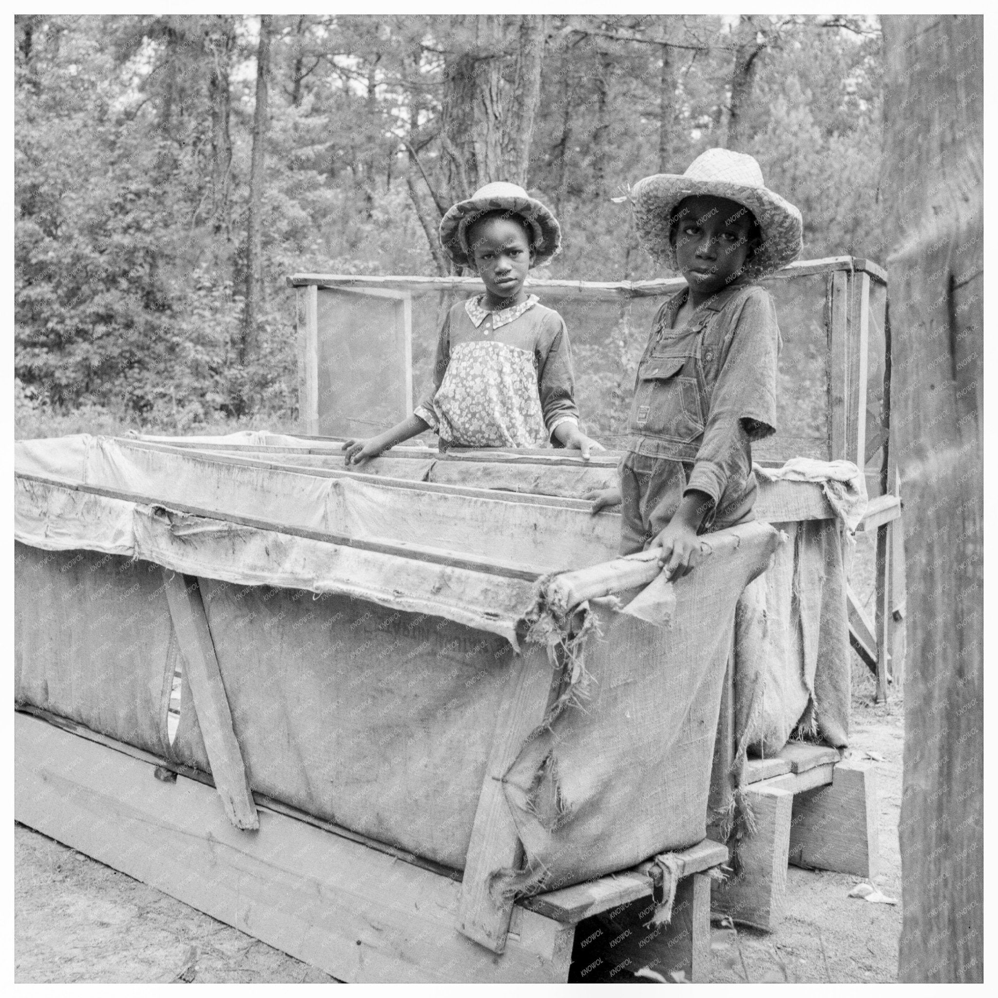 Grandchildren of Tobacco Sharecropper North Carolina 1939 - Available at KNOWOL