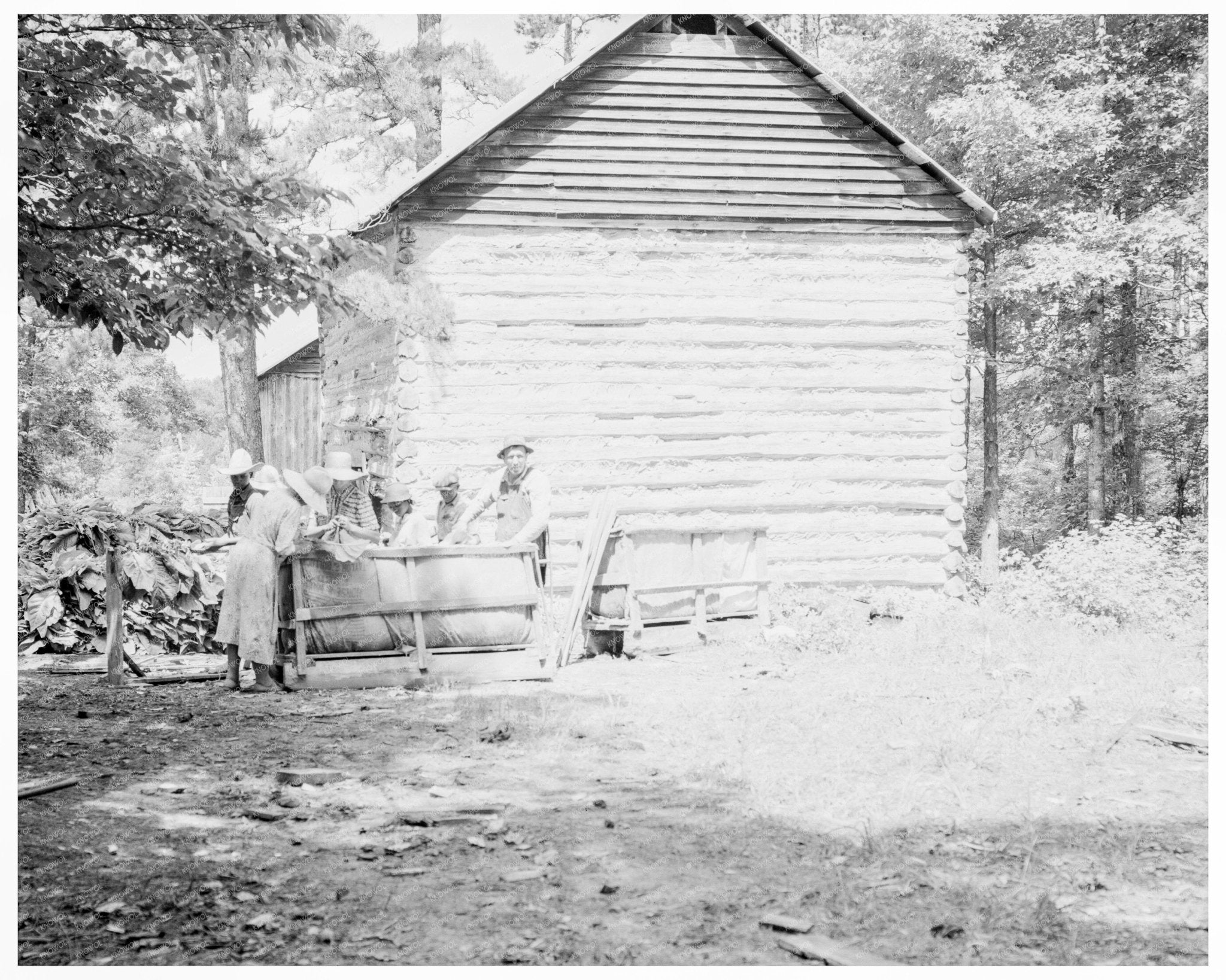 Granville County Tobacco Harvesting Families 1939 Photo - Available at KNOWOL