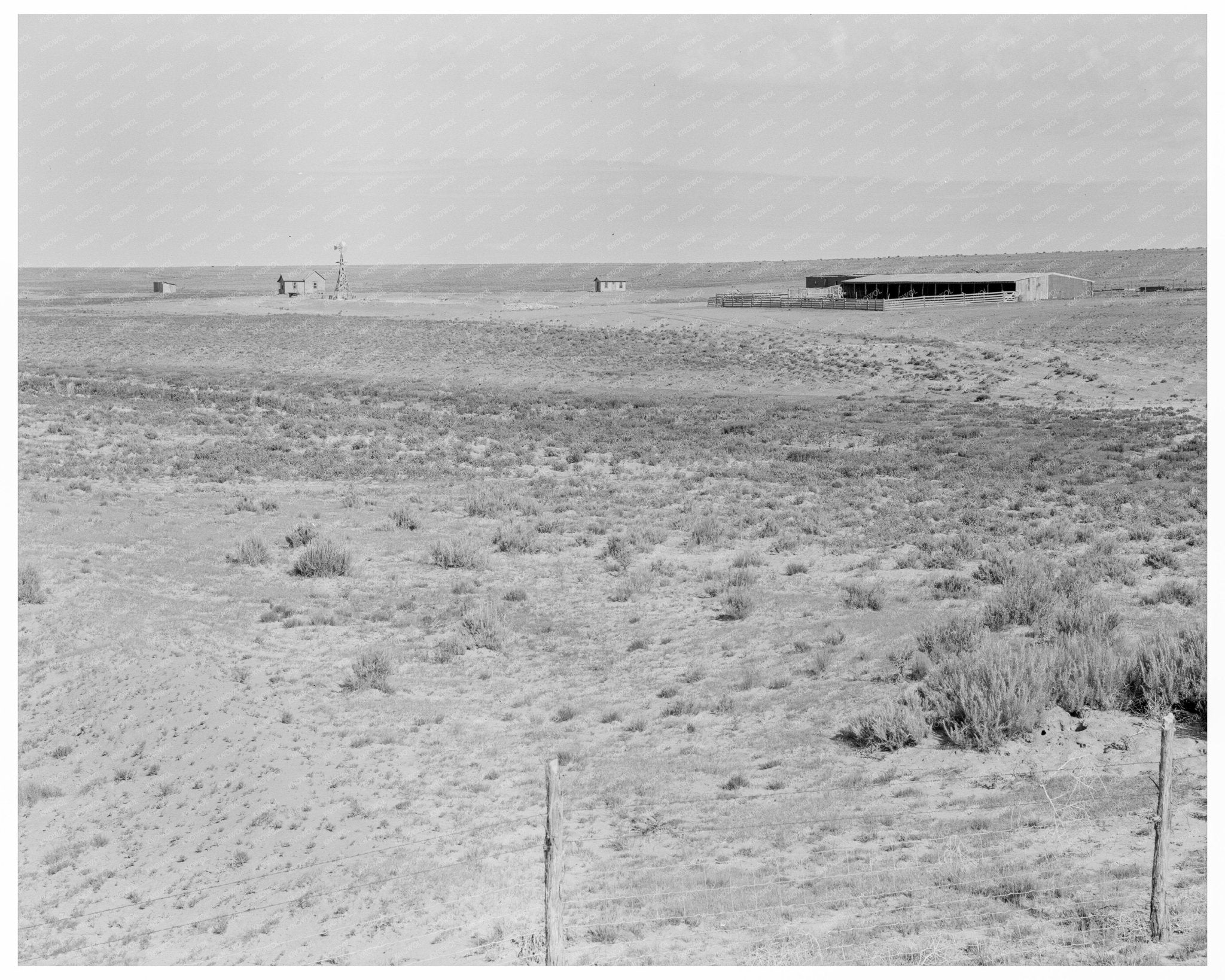 Great Plains Homesteads and Sheep Barn Claud New Mexico 1938 - Available at KNOWOL