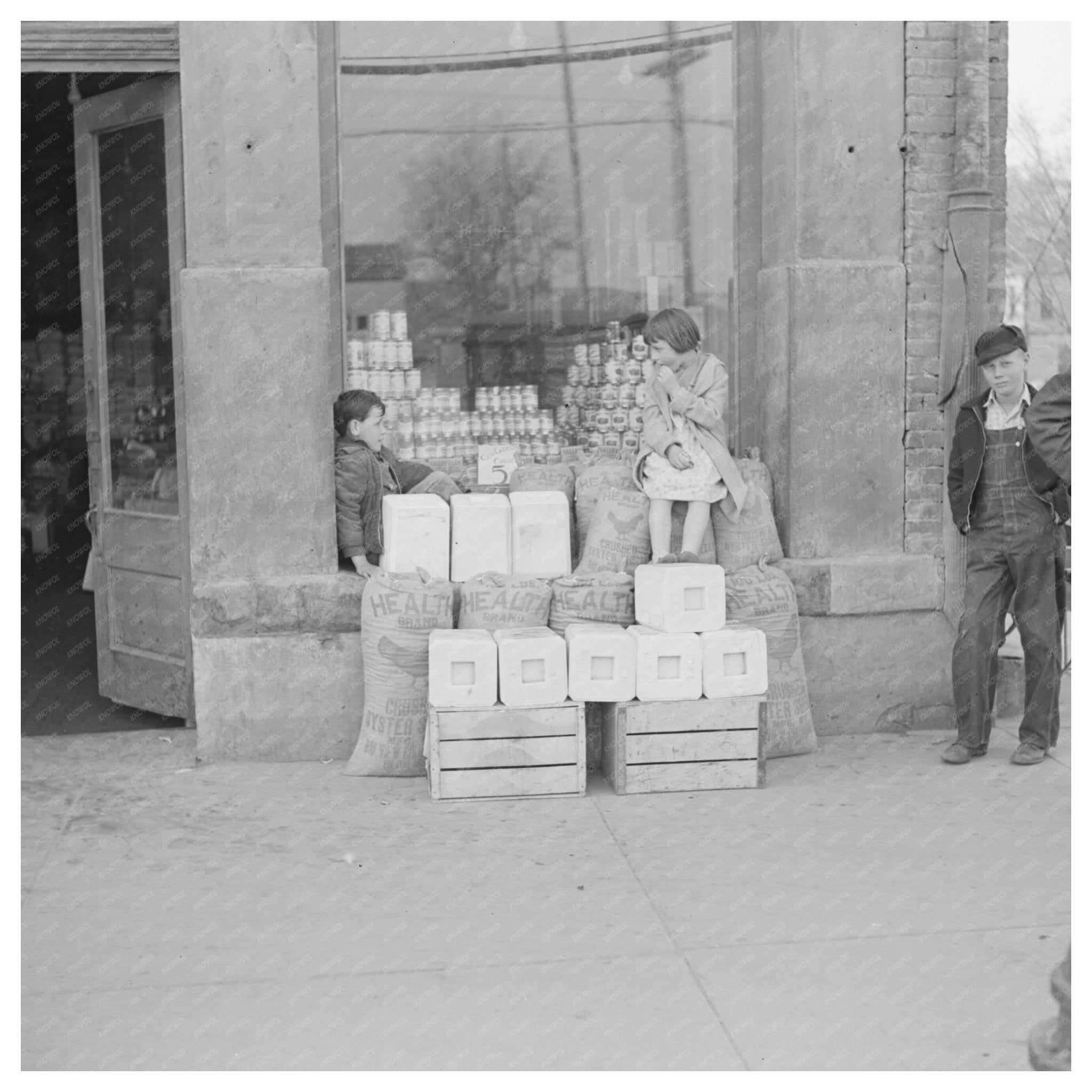 Grocery Store in Shawneetown Illinois April 1937 - Available at KNOWOL