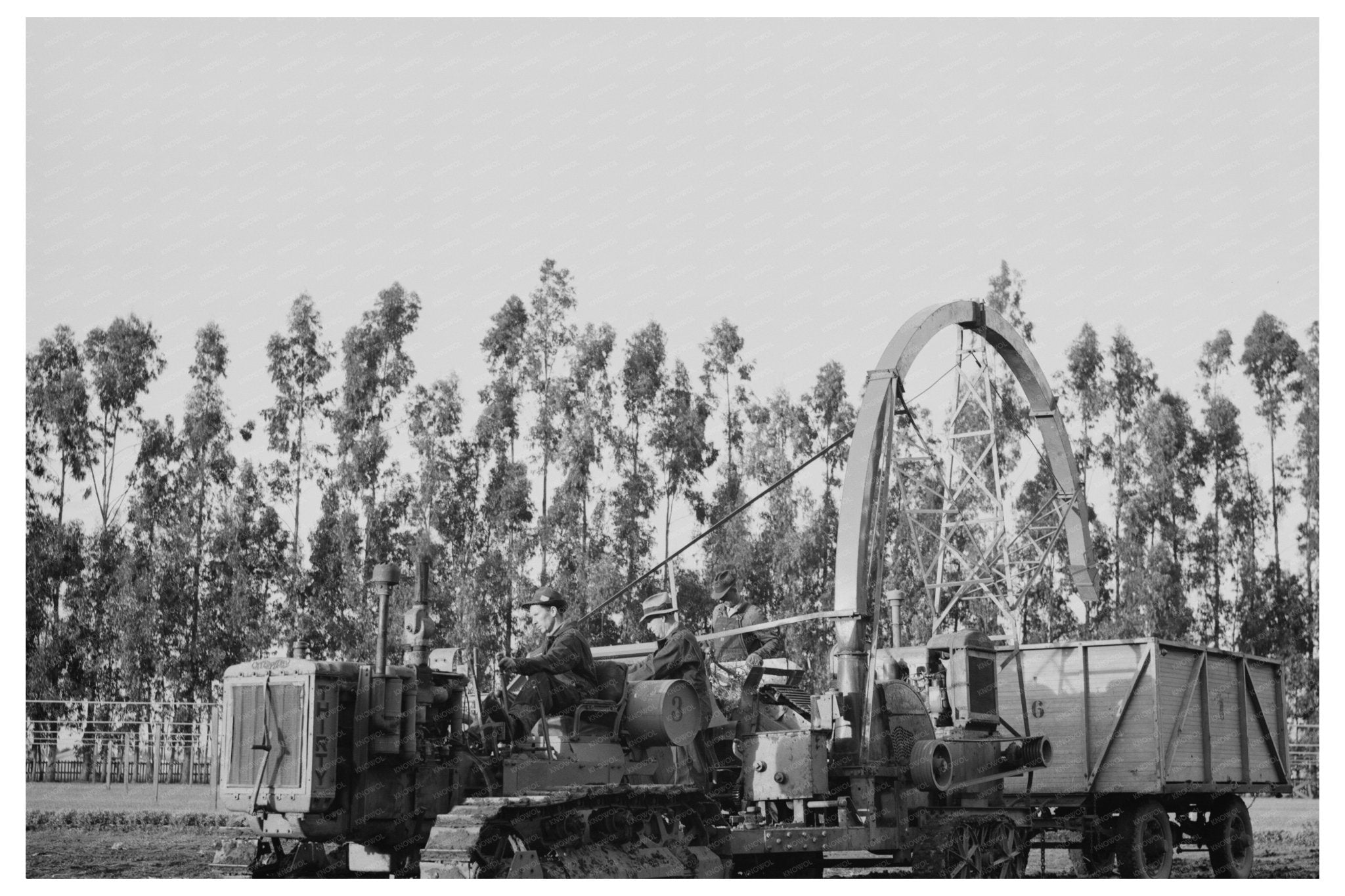 Guayule Harvester and Chopper Salinas California 1941 - Available at KNOWOL