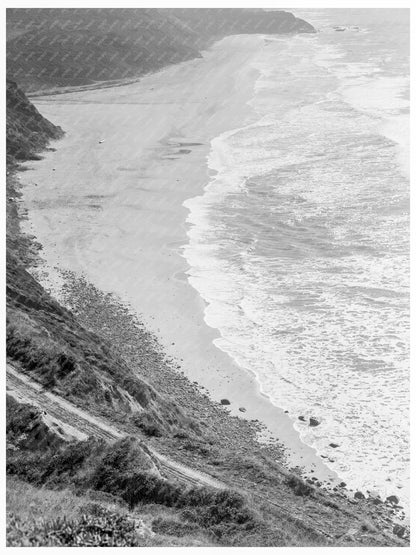 Half Moon Bay California Artichoke Farming November 1938 - Available at KNOWOL