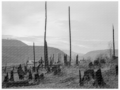 Halley Farm in Priest River Peninsula Idaho 1939 - Available at KNOWOL