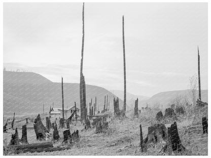 Halley Farm Rural Landscape Bonner County Idaho 1939 - Available at KNOWOL