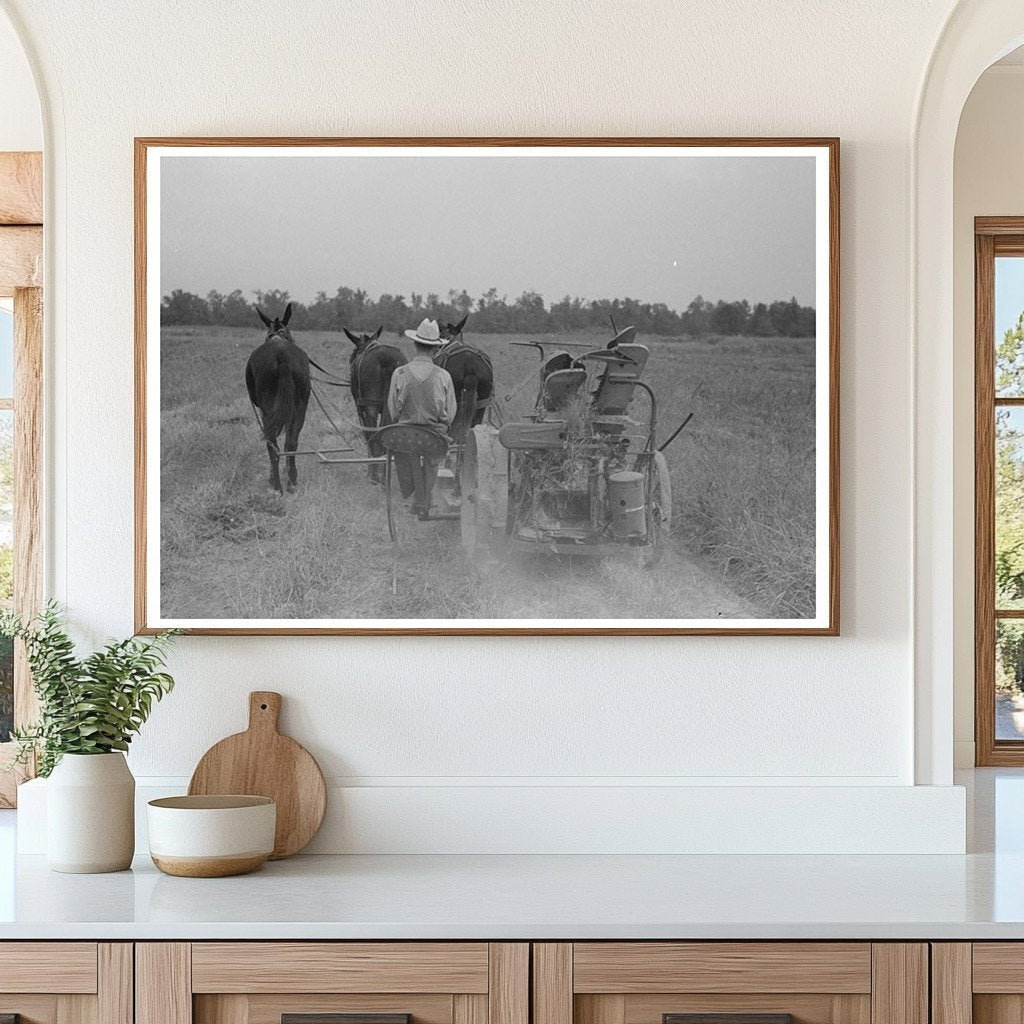 Hay Cutting at Lake Dick Project Arkansas September 1938 - Available at KNOWOL