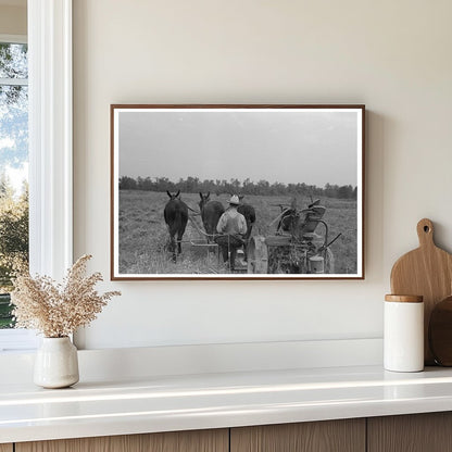 Hay - Cutting Process at Lake Dick Project Arkansas 1938 - Available at KNOWOL