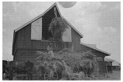 Hay Elevation Process in Arkansas September 1938 - Available at KNOWOL