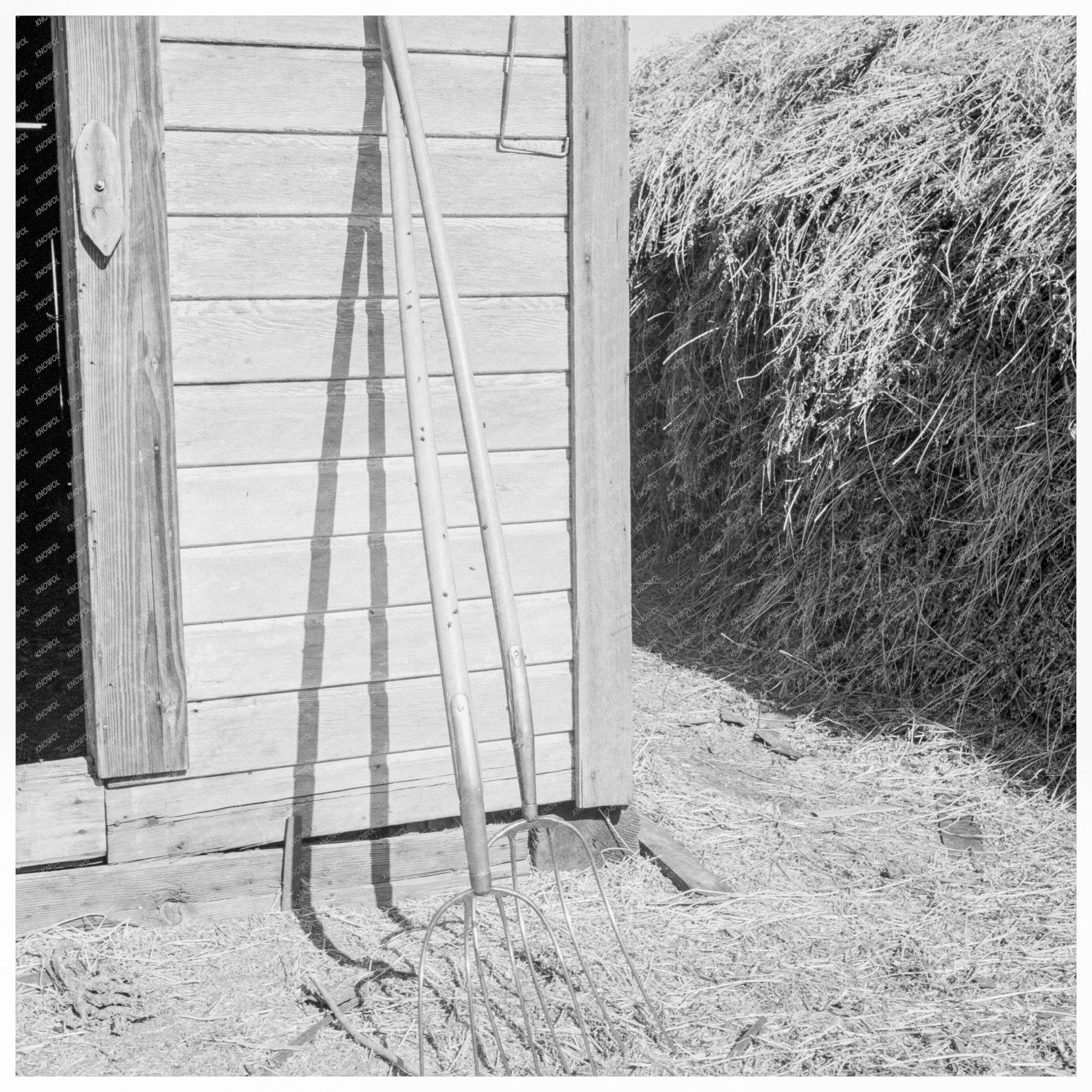 Hay Forks on a Farm in Morrow County Oregon 1939 - Available at KNOWOL