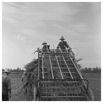 Hay Loading Machine at Lake Dick Arkansas 1938 - Available at KNOWOL