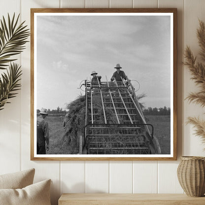 Hay Loading Machine at Lake Dick Arkansas 1938 - Available at KNOWOL